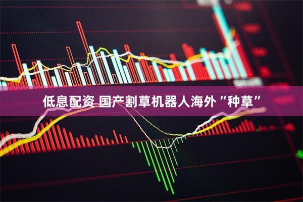 低息配资 国产割草机器人海外“种草”